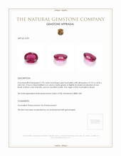 2.95 Ct. Tourmaline from Brazil Appraisal