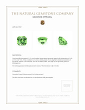1.51 Ct. Grossular Garnet from Madagascar Appraisal