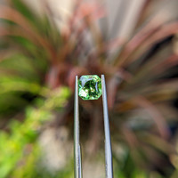 1.51 Ct. Grossular Garnet from Madagascar Life Style