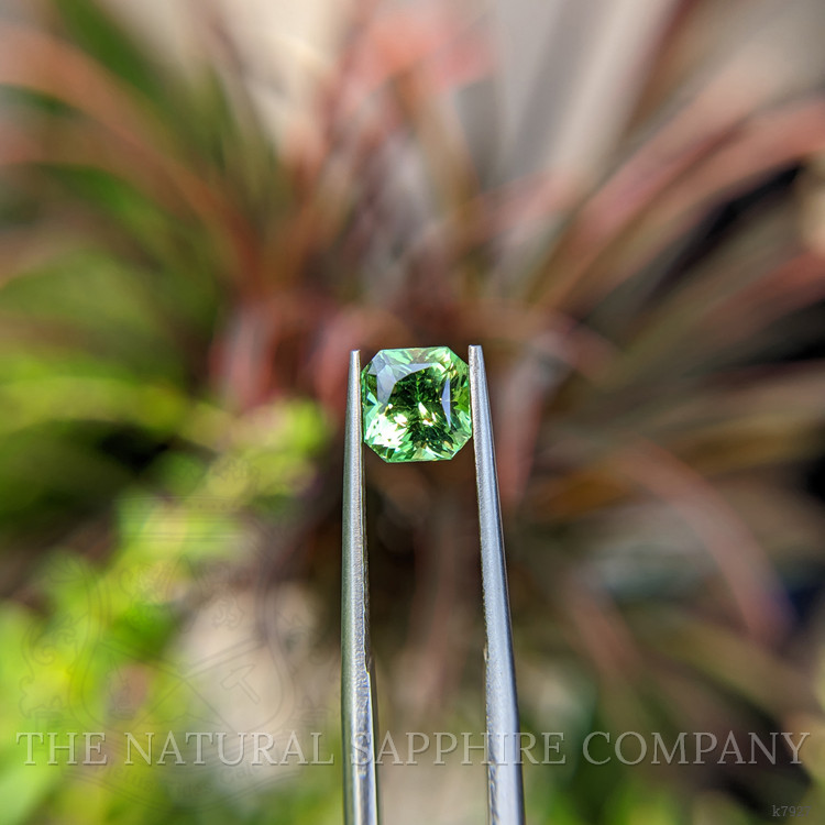 1.51 Ct. Grossular Garnet from Madagascar