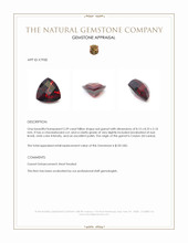 2.39 Ct. Garnet from Ceylon (Sri Lanka) Appraisal
