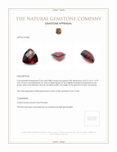 2.38 Ct. Garnet from Ceylon (Sri Lanka) Appraisal