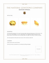 2.52 Ct. Citrine from Ceylon (Sri Lanka) Appraisal