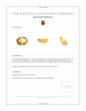 2.27 Ct. Citrine from Ceylon (Sri Lanka) Appraisal