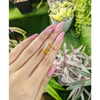 6.96 Ct. Citrine from Ceylon (Sri Lanka) Life Style