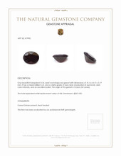3.36 Ct. Garnet from Ceylon (Sri Lanka) Appraisal