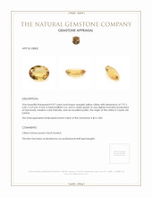 0.97 Ct. Citrine from Ceylon (Sri Lanka) Appraisal