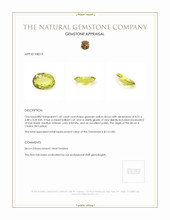 1.42 Ct. Zircon from Ceylon (Sri Lanka) Appraisal