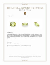 1.19 Ct. Brownish Green Zircon from Ceylon (Sri Lanka) Appraisal
