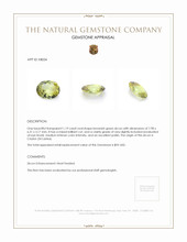 1.19 Ct. Zircon from Ceylon (Sri Lanka) Appraisal