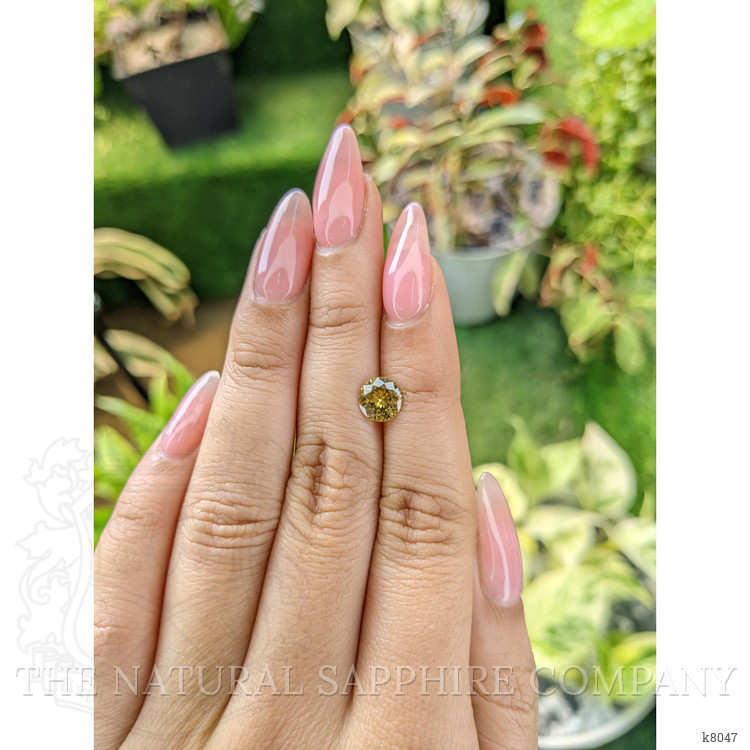 1.65 Ct. Zircon from Ceylon (Sri Lanka)