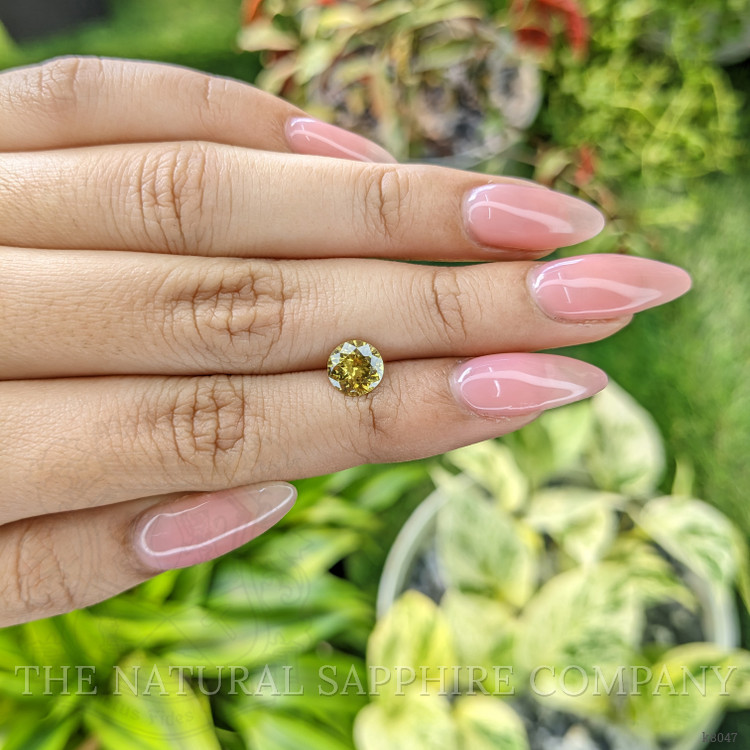 1.65 Ct. Zircon from Ceylon (Sri Lanka)