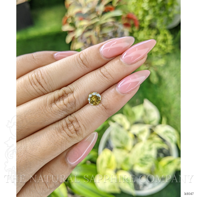 1.65 Ct. Zircon from Ceylon (Sri Lanka)