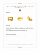 1.69 Ct. Citrine from Ceylon (Sri Lanka) Appraisal