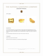 1.69 Ct. Citrine from Ceylon (Sri Lanka) Appraisal