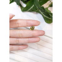 3.06 Ct. Tourmaline from Mozambique Life Style