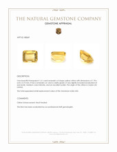 1.61 Ct. Citrine from Ceylon (Sri Lanka) Appraisal