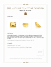 1.61 Ct. Citrine from Ceylon (Sri Lanka) Appraisal