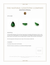 1.08 Ct. Tourmaline from Mozambique Appraisal