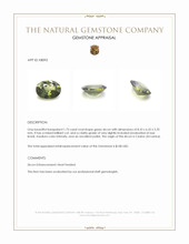 1.73 Ct. Green Zircon from Ceylon (Sri Lanka) Appraisal
