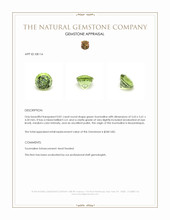 0.81 Ct. Tourmaline from Mozambique Appraisal