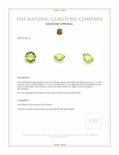 0.88 Ct. Tourmaline from Mozambique Appraisal