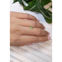 0.88 Ct. Tourmaline from Mozambique Life Style