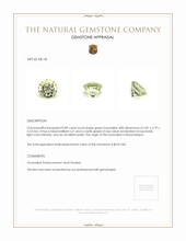 0.89 Ct. Tourmaline from Mozambique Appraisal