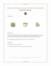 0.89 Ct. Tourmaline from Mozambique Appraisal