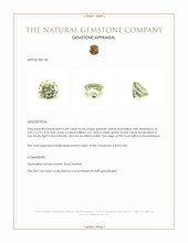 0.89 Ct. Greenish Yellow Tourmaline from Mozambique Appraisal