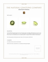 0.90 Ct. Tourmaline from Mozambique Appraisal