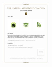 0.99 Ct. Tourmaline from Mozambique Appraisal