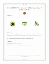 0.99 Ct. Tourmaline from Mozambique Appraisal