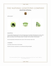 0.99 Ct. Tourmaline from Mozambique Appraisal