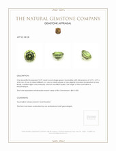 0.99 Ct. Tourmaline from Mozambique Appraisal