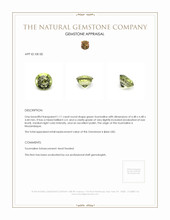 1.11 Ct. Tourmaline from Mozambique Appraisal