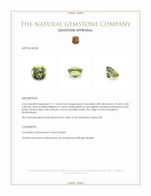 1.11 Ct. Tourmaline from Mozambique Appraisal