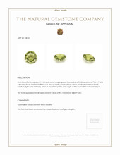 1.14 Ct. Tourmaline from Mozambique Appraisal
