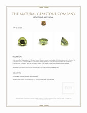1.18 Ct. Tourmaline from Mozambique Appraisal