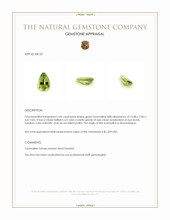 2.06 Ct. Tourmaline from Mozambique Appraisal