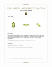 0.46 Ct. Tourmaline from Mozambique Appraisal