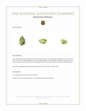 0.86 Ct. Green Tourmaline from Mozambique Appraisal