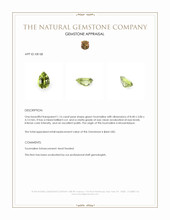1.16 Ct. Green Tourmaline from Mozambique Appraisal
