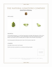 1.16 Ct. Tourmaline from Mozambique Appraisal