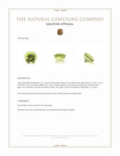 1.31 Ct. Green Tourmaline from Republic of Congo Appraisal