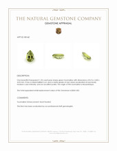 1.20 Ct. Green Tourmaline from Mozambique Appraisal