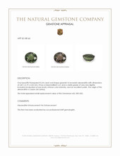 Jewelry Appraisal