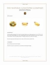 3.66 Ct. Yellow Zircon from Ceylon (Sri Lanka) Appraisal