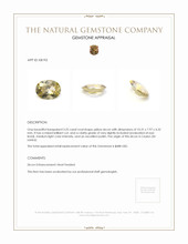 3.25 Ct. Zircon from Ceylon (Sri Lanka) Appraisal