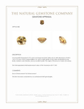 2.92 Ct. Brownish Yellow Zircon from Ceylon (Sri Lanka) Appraisal
